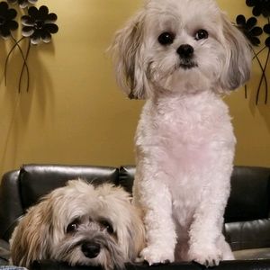 Meet your Posher, Edward